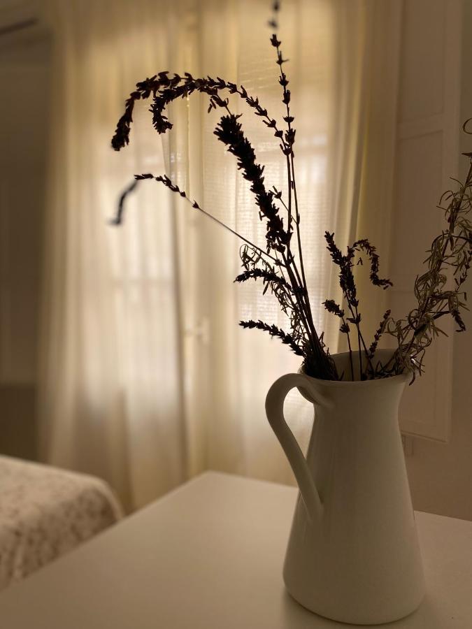 Sanchez Home, Pleno Centro